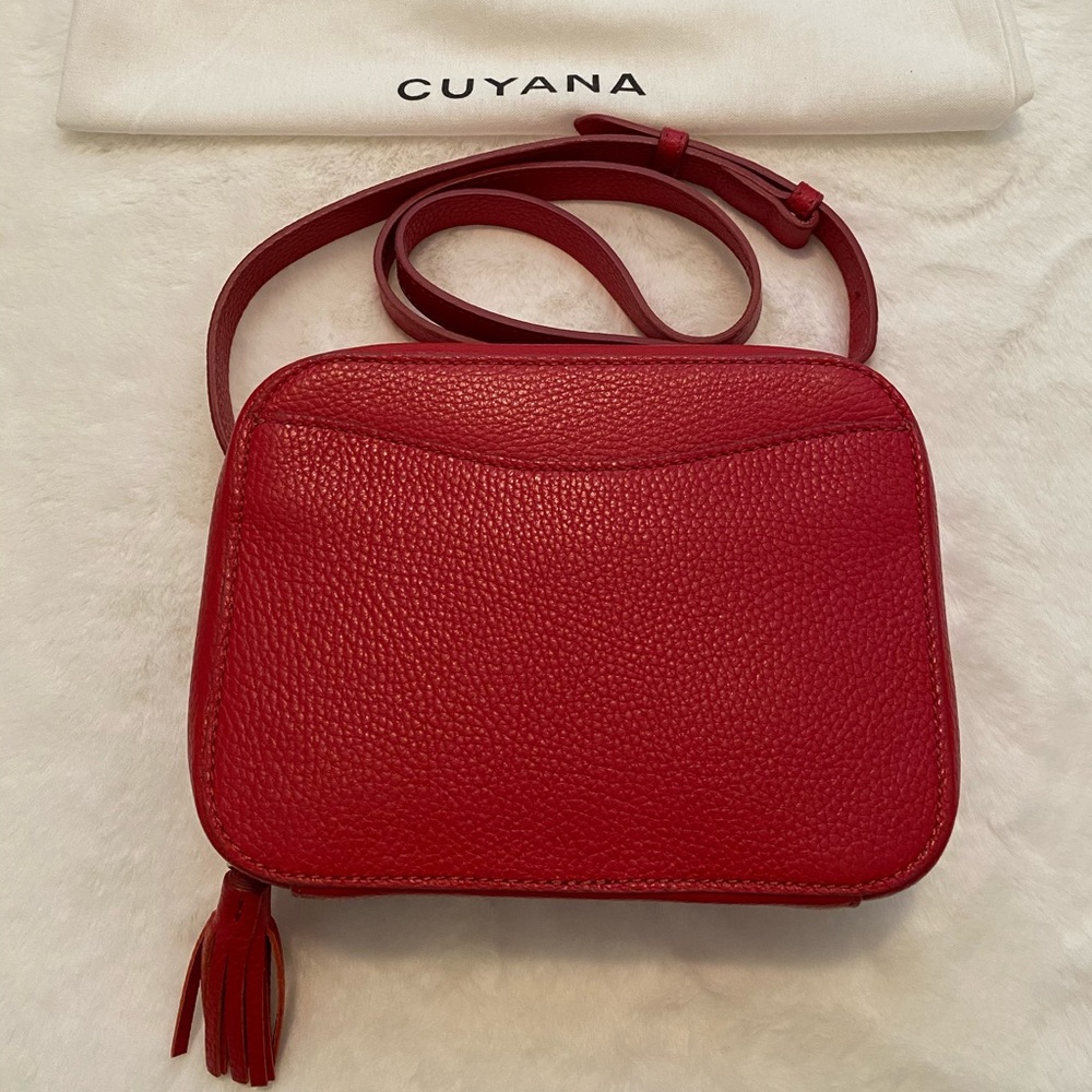 Cuyana mini tassel bag